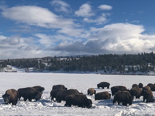 Wyoming