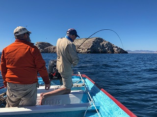 big-fish