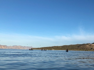 yellowtail-fishing