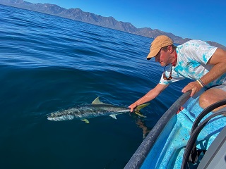 Jeff-currier-Baja