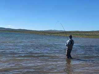 carping