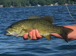 smallmouth-bass