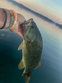 smallmouth-bass