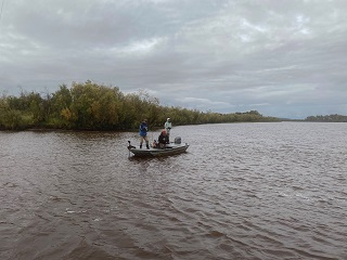 sheefish
