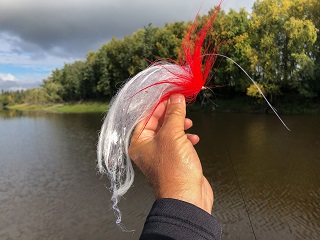 pike-fly