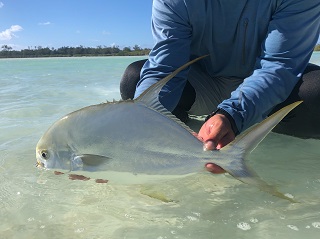 yellow-permit