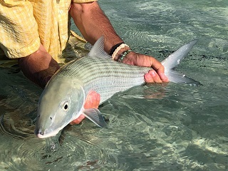 bonefishing