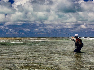 triggerfishing