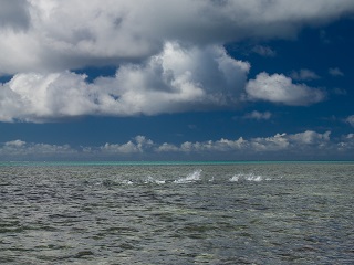flats-fishing