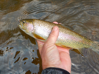 Oregon-fishing