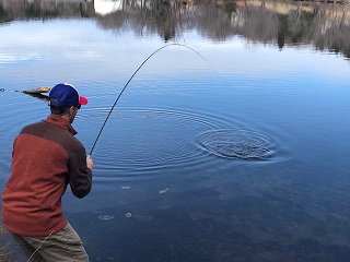 flyfishing-pickerel