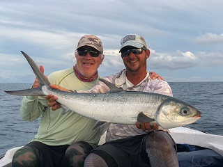 milkfish