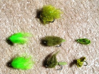 milkfish-flies