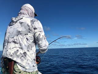 milkfish