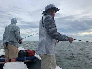 giant-trevally