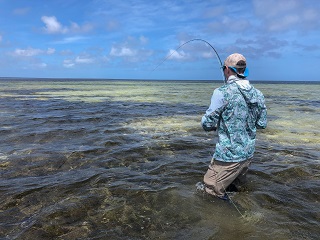 GT-fishing