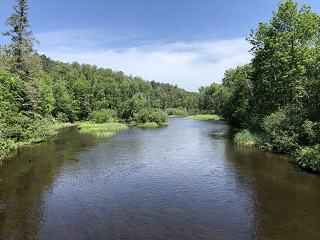 trout-Wisconsin