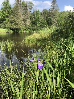 flyfishing