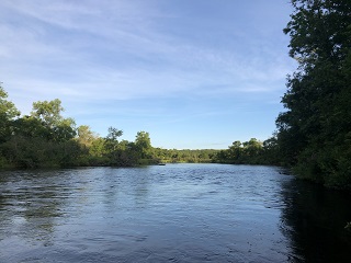 smallmouth-bass