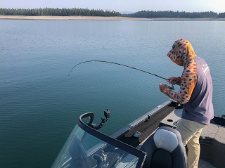 lake-trout