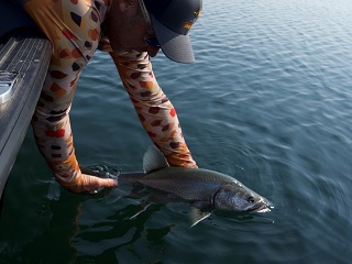 mackinaw