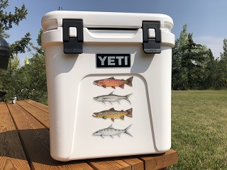 gifts-anglers