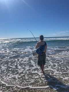 Baja