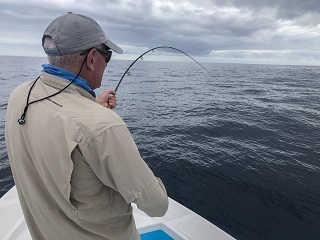 marlin-on-fly