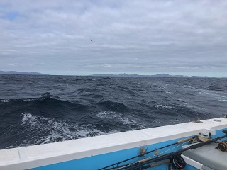 Baja