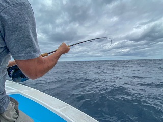 Currier-marlin