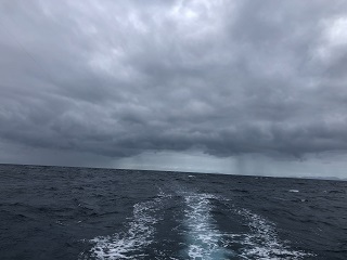 baja