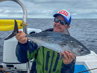 skipjack-tuna