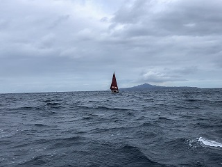 fish-Baja