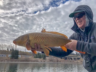 Carp
