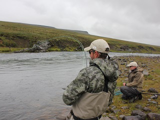 Atlantic-salmon-Currier