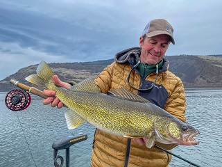 Currier-walleye