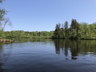 fly-fishing