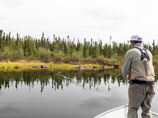 flyfishing-pike