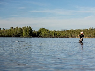 fly-fishing-for-pike