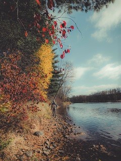 flyfishing-for-Northern-Pike