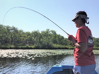 Winston-rods