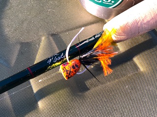 bass-popper