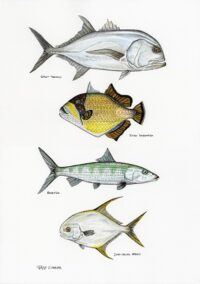 fish-art