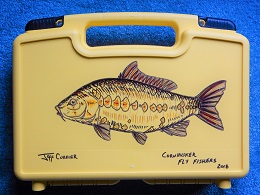 mirror-carp-fly-box