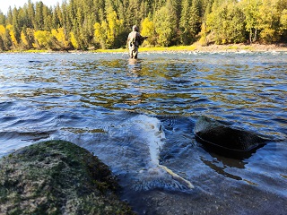 Clearwater-River