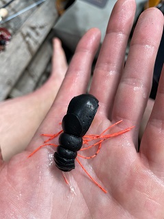 Chernobyl-Ant