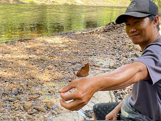 Borneo