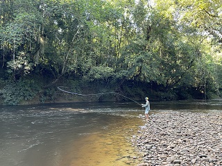 flyfishing-jungle