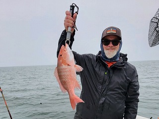 red-snapper