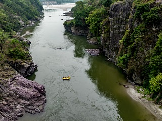 golden-mahseer